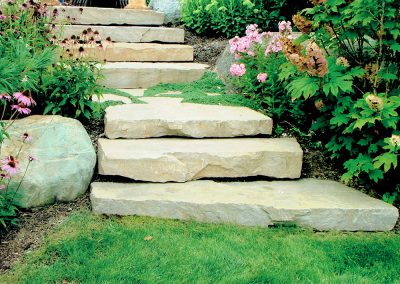 Plants and Patios Steps and Plantings