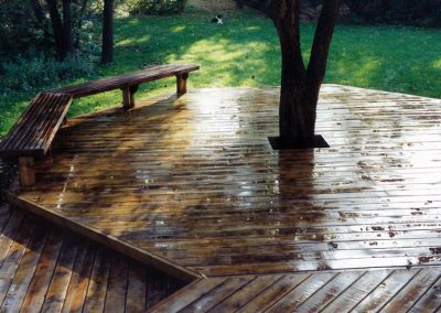 Tree and Deck Design