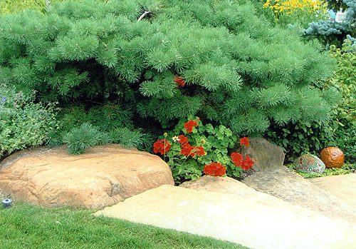 Landscape Renovation, Flower planting and Boulder Design